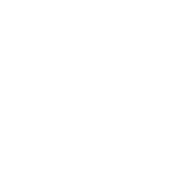 palm-beach